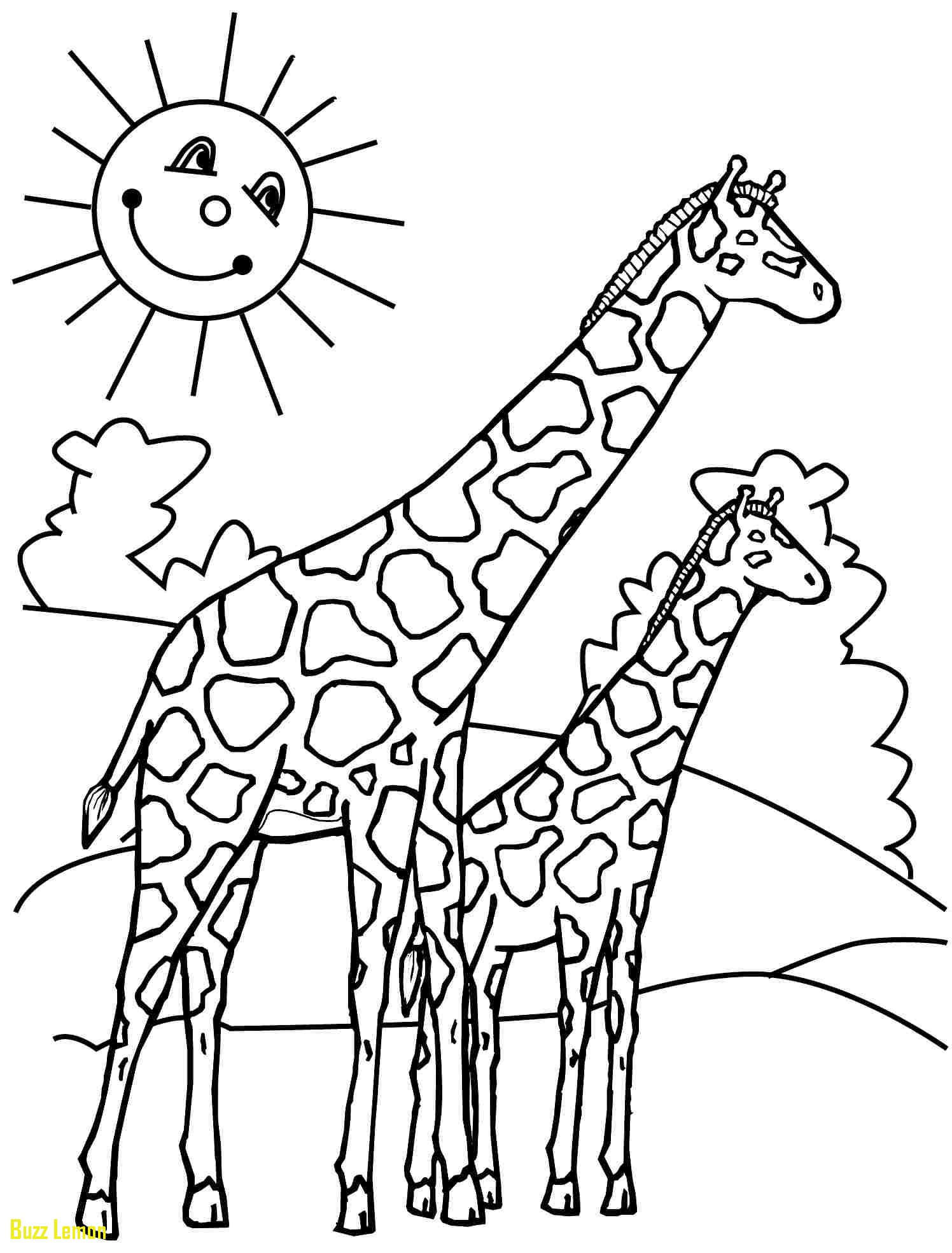 1496x1968 Giraffe Coloring Pages Luxury Wylreh About Giraffe Coloring Page