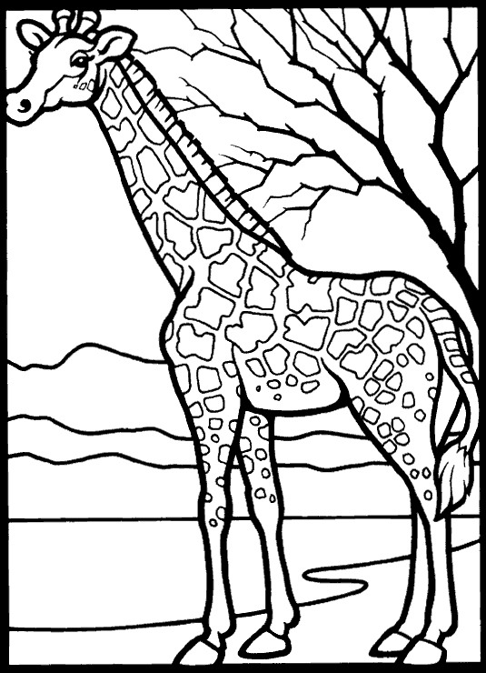 535x740 Kids N 45 Coloring Pages Of Giraffe