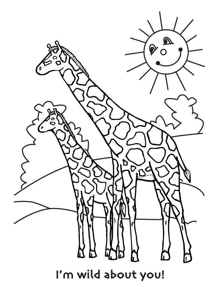 Giraffe Coloring Pages For Adults