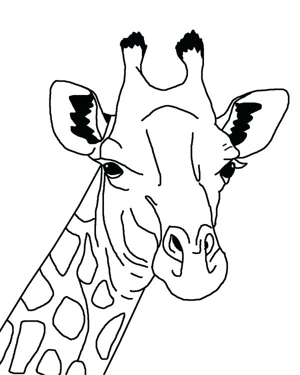 Giraffe Coloring Sheet S S S Able S Giraffe Coloring Pages 600x750 Giraffe Coloring Sheet S S S Able S Giraffe Coloring Pages