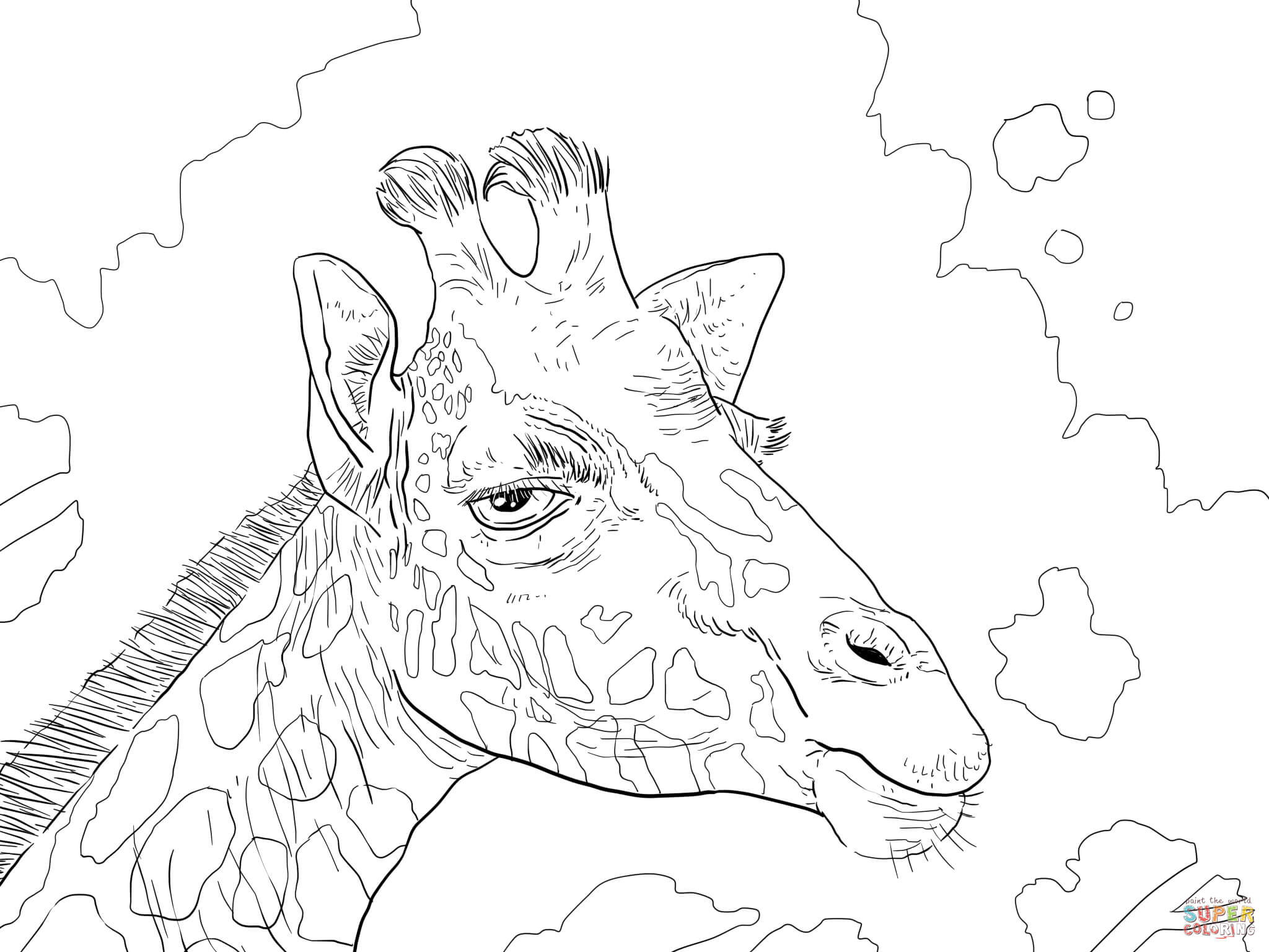 Rothschild Giraffe Head Coloring Page At Giraffe Coloring Pages 2048x1536 Rothschild Giraffe Head Coloring Page At Giraffe Coloring Pages