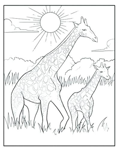 Giraffe Coloring Book 400x494 Giraffe Coloring Book