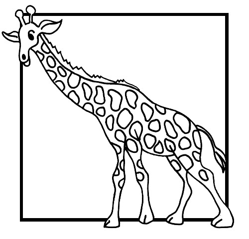 500x480 Kids N 45 Coloring Pages Of Giraffe