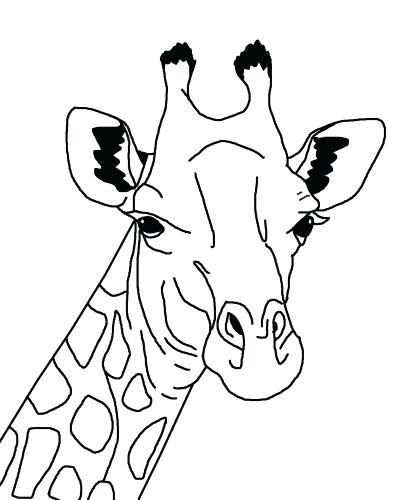 400x500 New Printable Giraffe Coloring Pages For Sweet Inspiration New