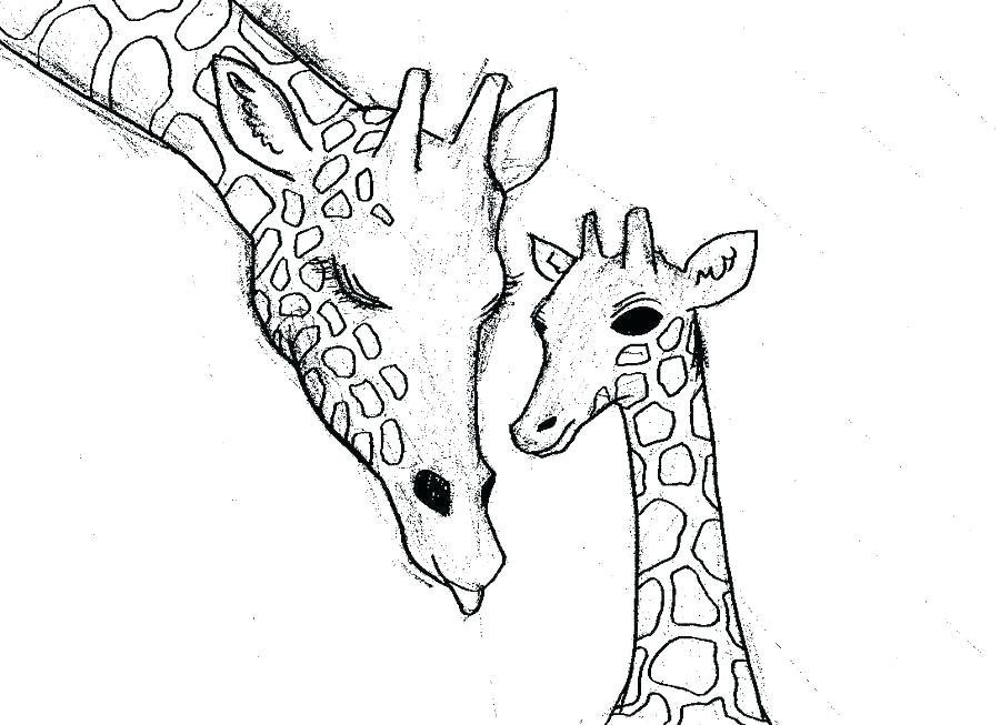 900x653 Cute Giraffe Coloring Pages Cute Baby Giraffe Coloring Pages