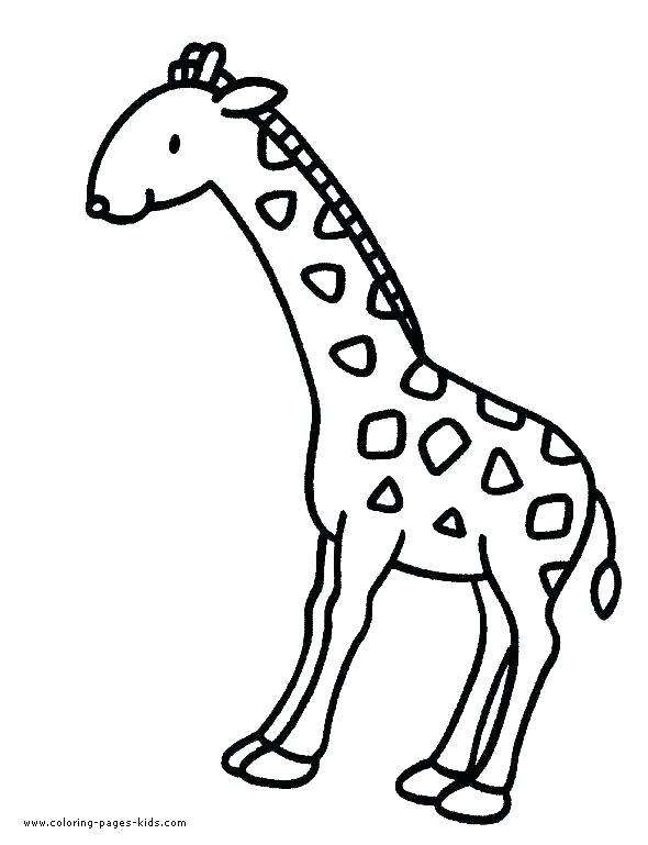 590x769 Giraffe Color Page Giraffe Coloring Page 3 Baby Giraffe Color