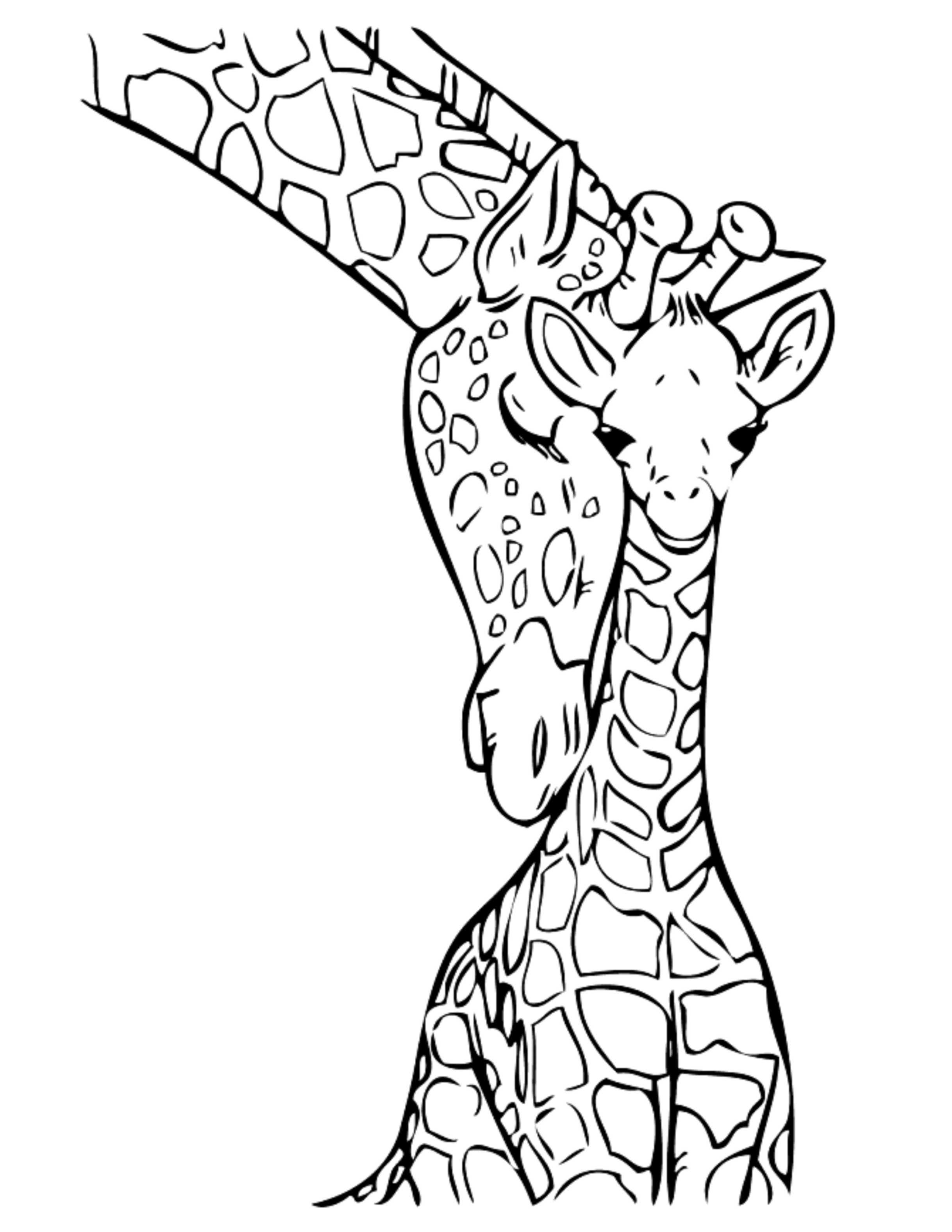 2437x3154 Giraffe Coloring Pages Giraffe Coloring Pages Printable
