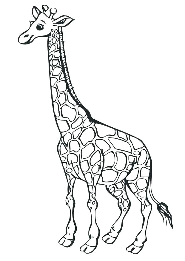 620x875 Giraffe Coloring Pages Printable Giraffe Coloring Pages Printable