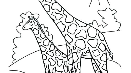500x280 Giraffes Coloring Pages Baby Giraffe Coloring Pages Baby Giraffe