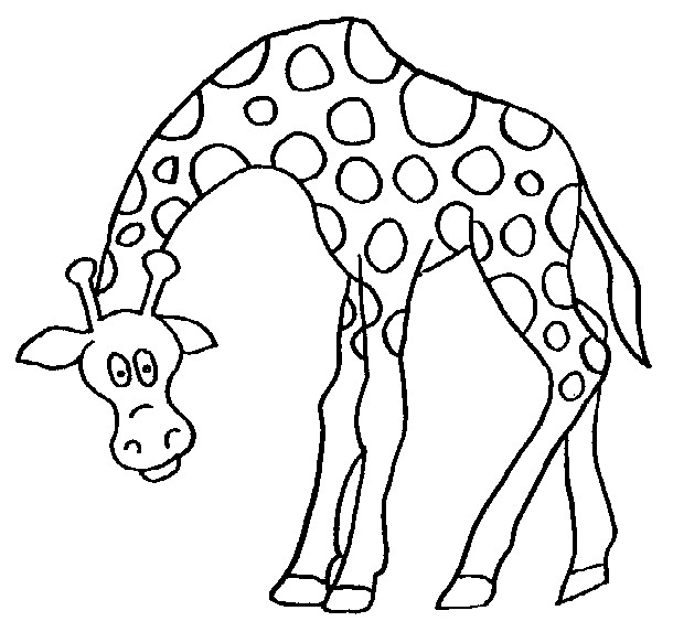 610x573 Kids N 45 Coloring Pages Of Giraffe