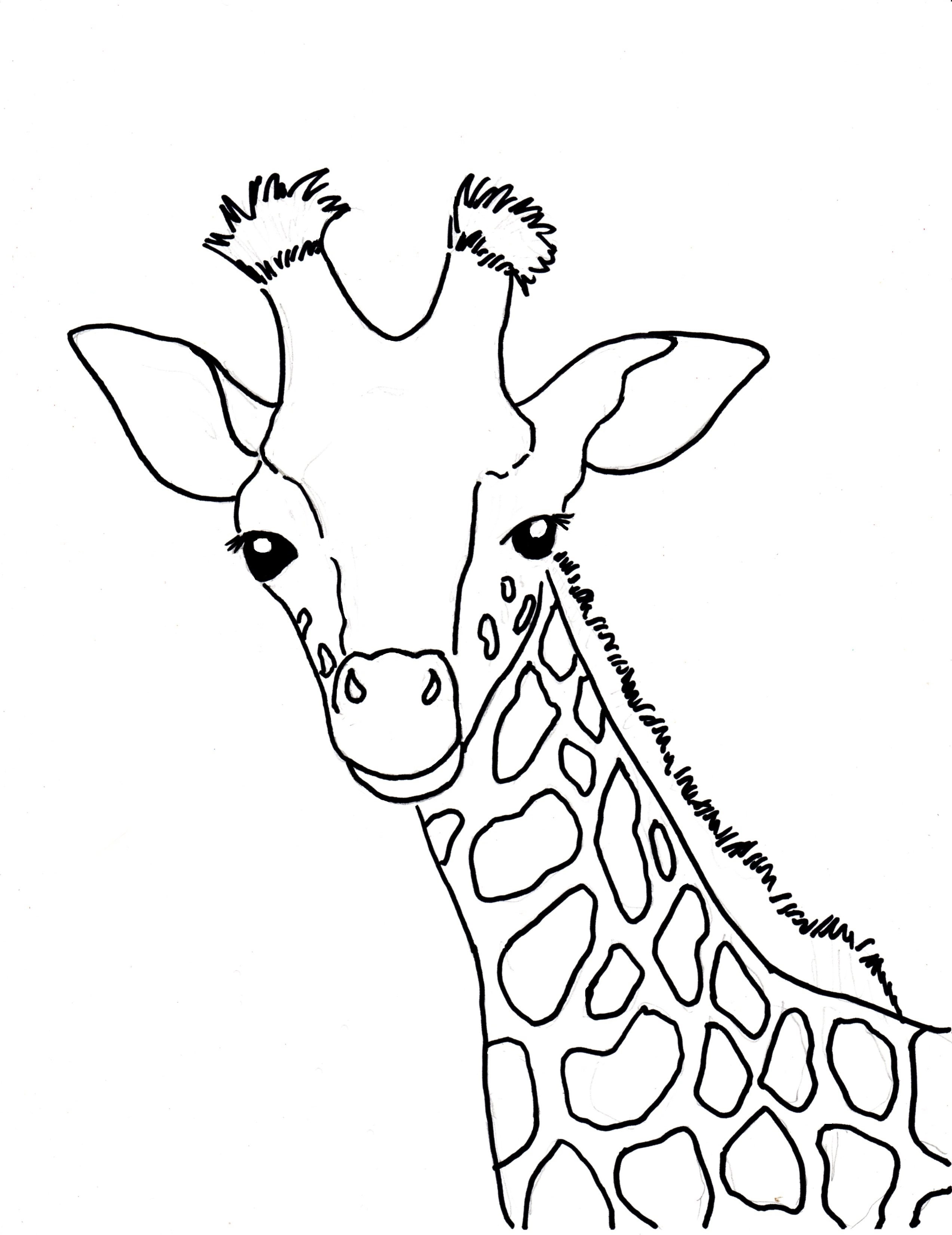 Giraffe Face Coloring Page Giraffe Coloring Pages Max Coloring 2545x3300 Giraffe Face Coloring Page Giraffe Coloring Pages Max Coloring