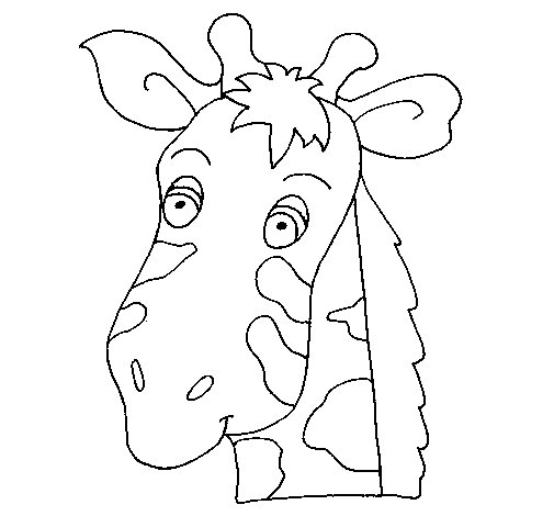 Giraffe Face Coloring Page 505x470 Giraffe Face Coloring Page