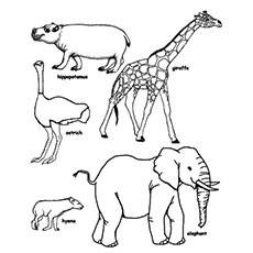 Top 25 Free Printable Wild Animals Coloring Pages Online 230x230 Top 25 Free Printable Wild Animals Coloring Pages Online