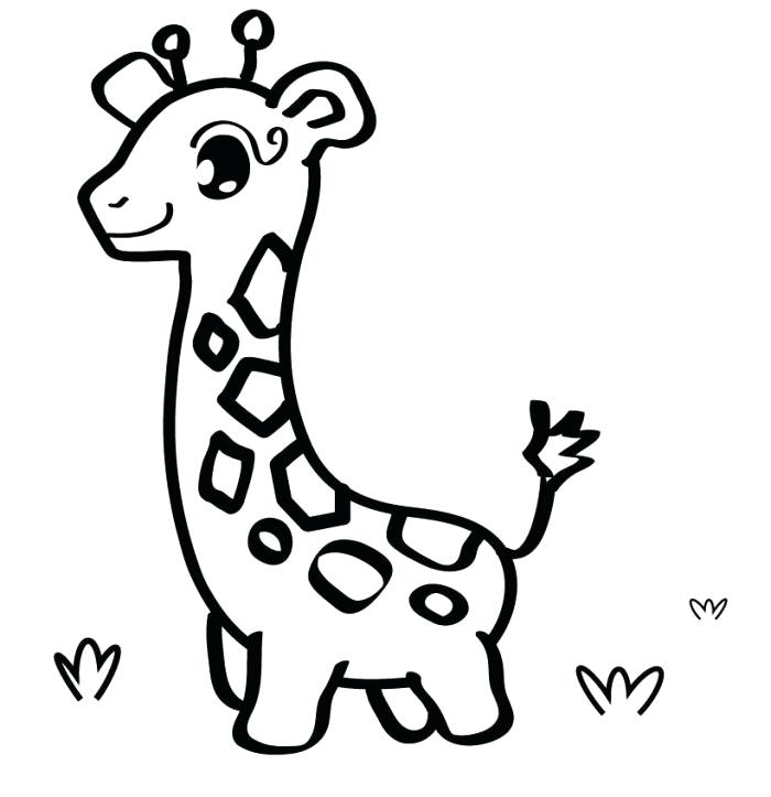 Easy Giraffe Drawing 700x723 Easy Giraffe Drawing