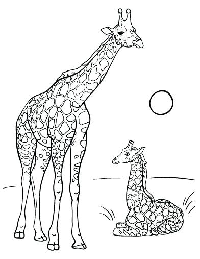 Giraffe Coloring Page 392x507 Giraffe Coloring Page