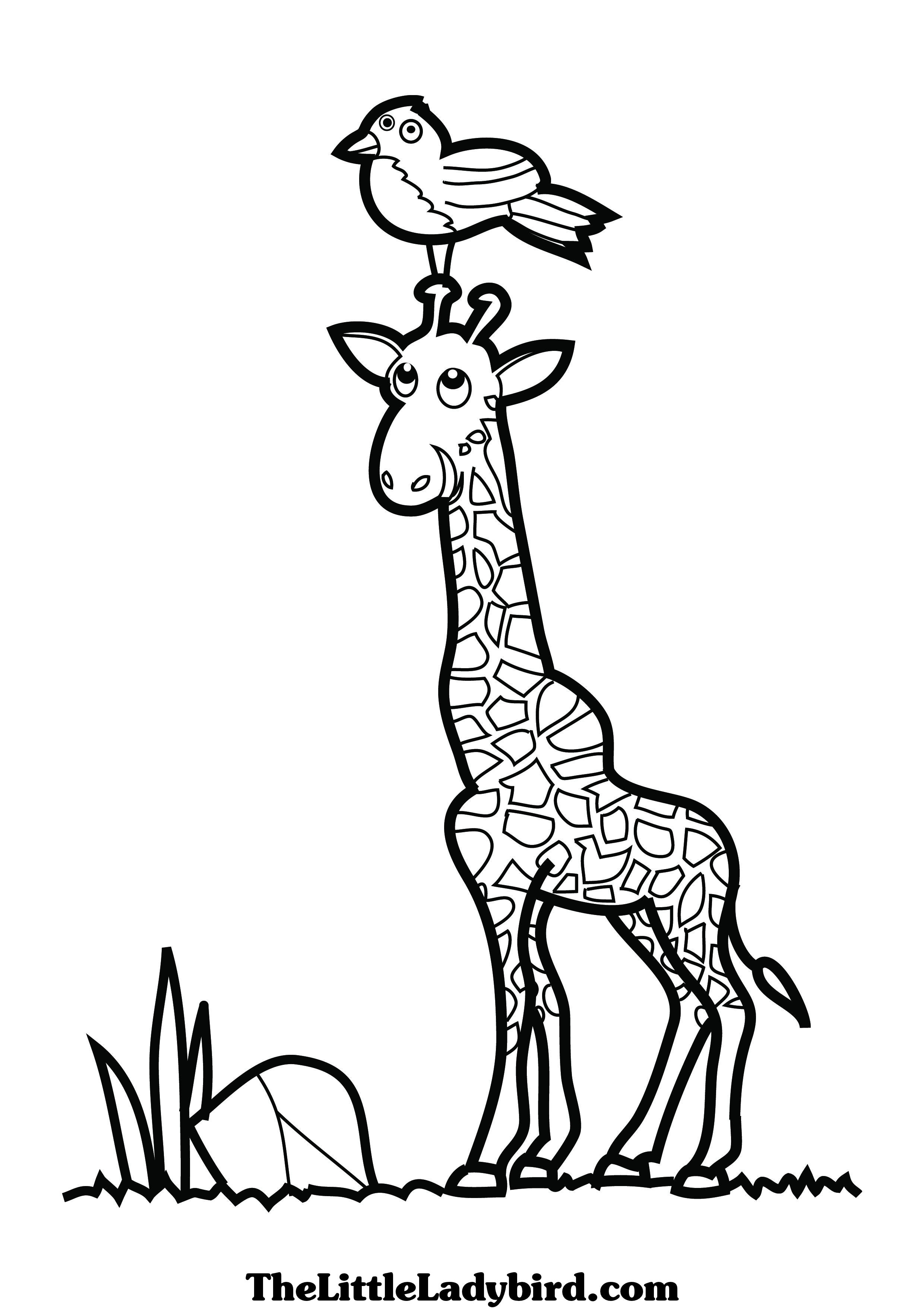 2480x3508 Giraffe Head Coloring Pages Clipart Panda