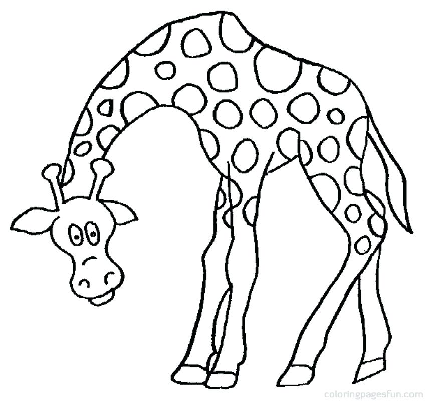 852x800 Giraffes Coloring Pages Giraffe Head Coloring Picture Giraffe