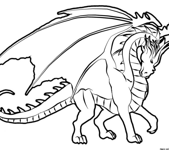 678x600 Free Coloring Pages Of Dragons To Print Free Coloring Page
