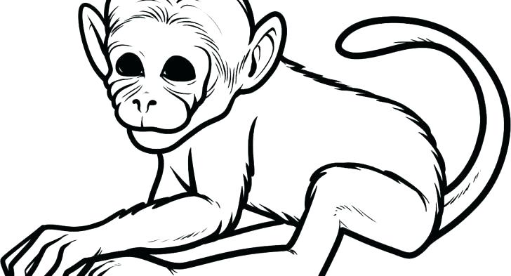 728x393 Baby Monkey Coloring Pages Printable Monkey Coloring Pages Monkey