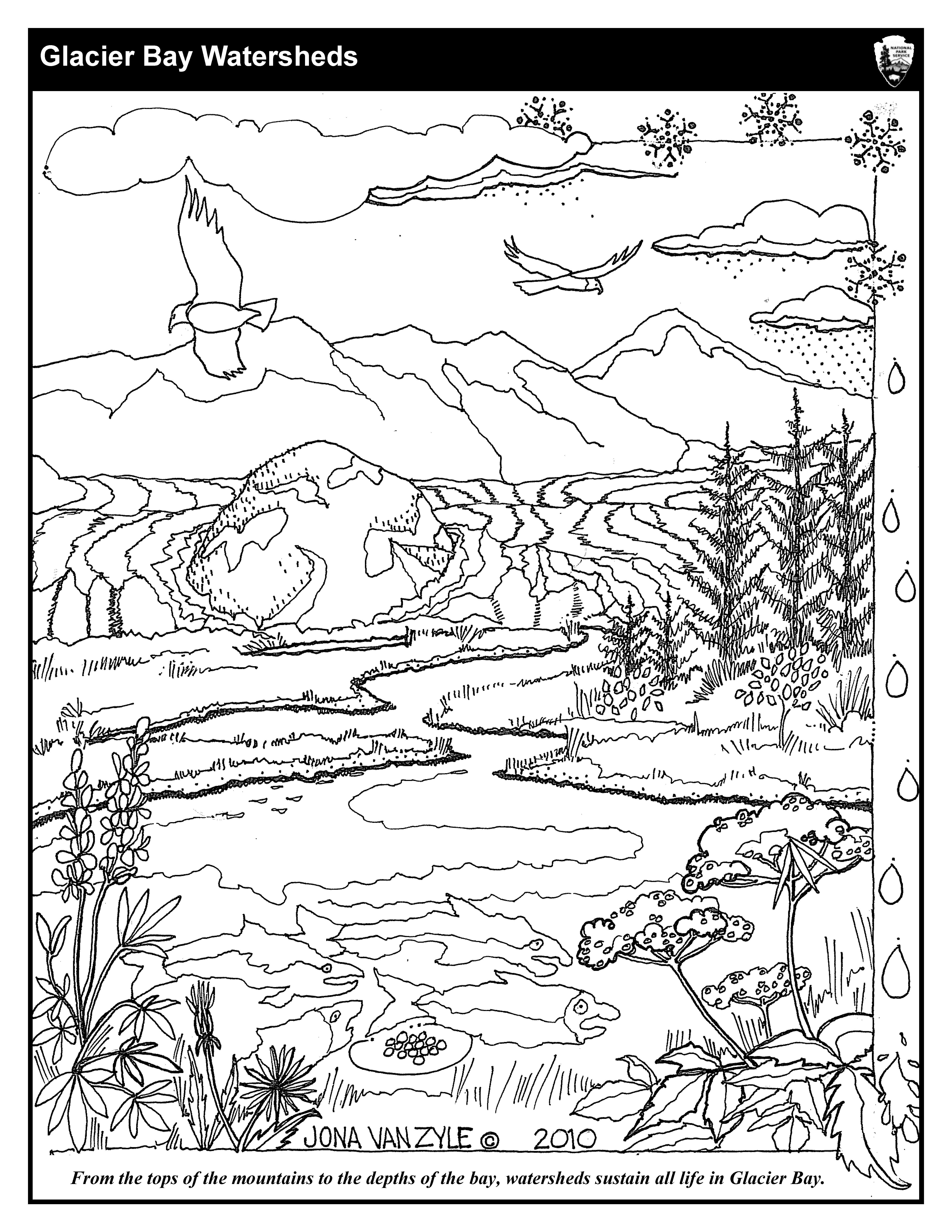 5100x6600 Coloring Sheets