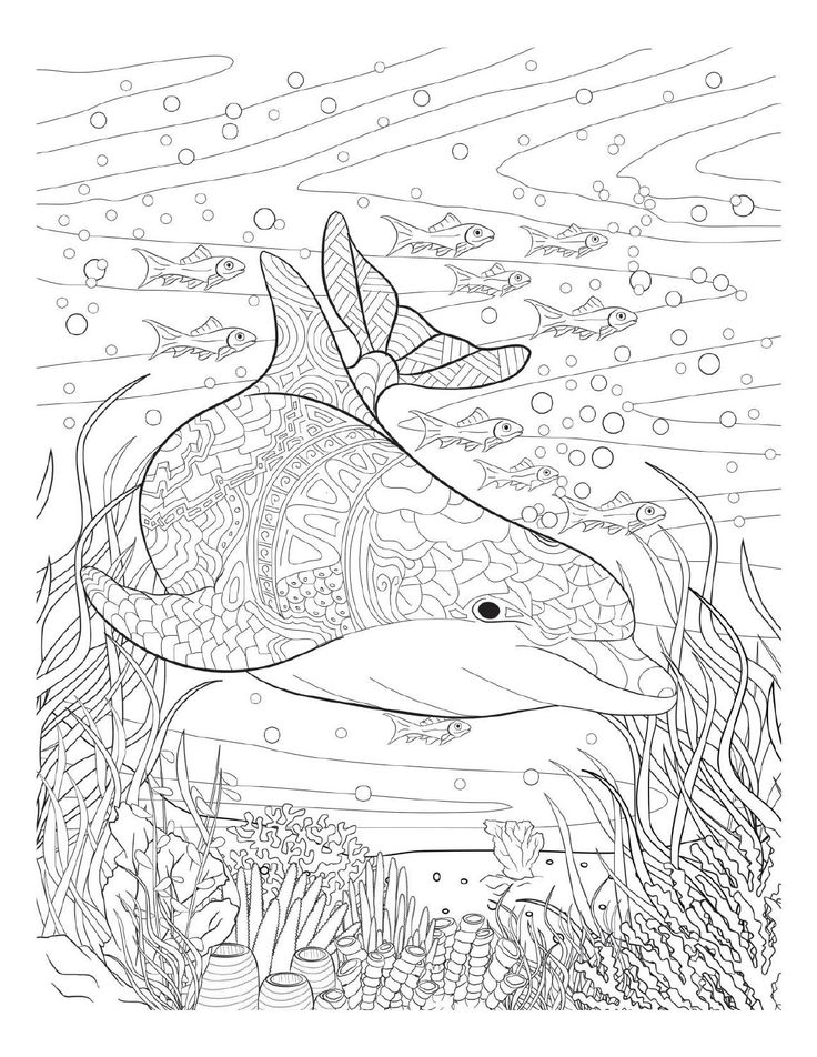 736x952 376 Best Coloring Pages To Print
