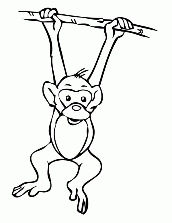 600x776 Monkey Coloring Pages To Print Monkey, Monkey Hanging On