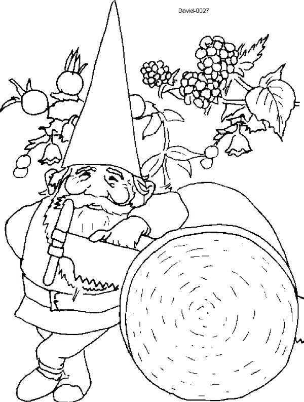 600x793 Garden Gnome Coloring Pages Good Gnome Coloring Pages For 52