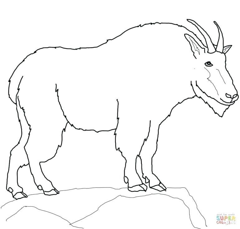 Goat Coloring Baby Goat Colouring Pages Coloring Wild Mammals 770x734 Goat Coloring Baby Goat Colouring Pages Coloring Wild Mammals