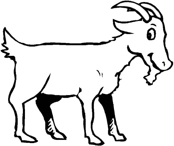 Goat Is Smiling Coloring Pages Color Luna 600x502 Goat Is Smiling Coloring Pages Color Luna