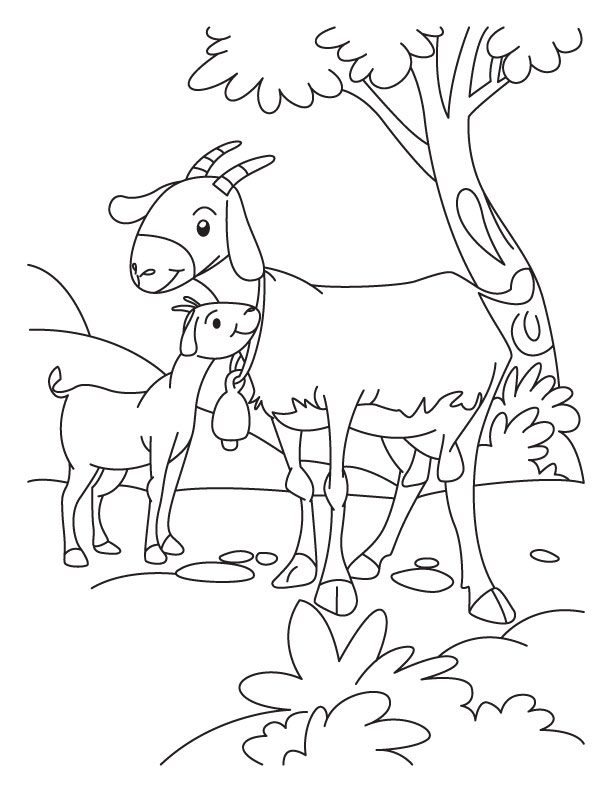 Kid Goat Coloring Pages 612x792 Kid Goat Coloring Pages