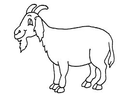 Mejores 19 De Goat Coloring Pages En Animales 259x194 Mejores 19 De Goat Coloring Pages En Animales