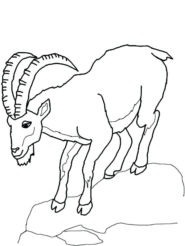 Mountain Coloring Page Mountain Coloring Pages Print Pics Goat 600x799 Mountain Coloring Page Mountain Coloring Pages Print Pics Goat