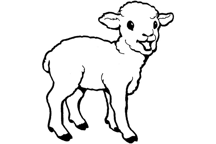 Peachy Ideas Goat Animal Coloring Pages Baby Best Photos Of Ba 720x480 Peachy Ideas Goat Animal Coloring Pages Baby Best Photos Of Ba