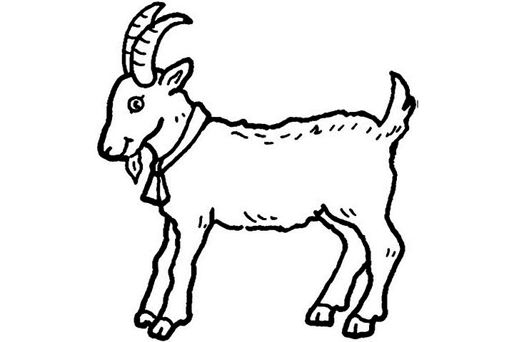Pictures Of Animals Coloring Kids Goat The Farm Animal Coloring Pages 720x480 Pictures Of Animals Coloring Kids Goat The Farm Animal Coloring Pages