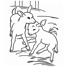 Top 25 Free Printable Goat Coloring Pages Online 230x230 Top 25 Free Printable Goat Coloring Pages Online