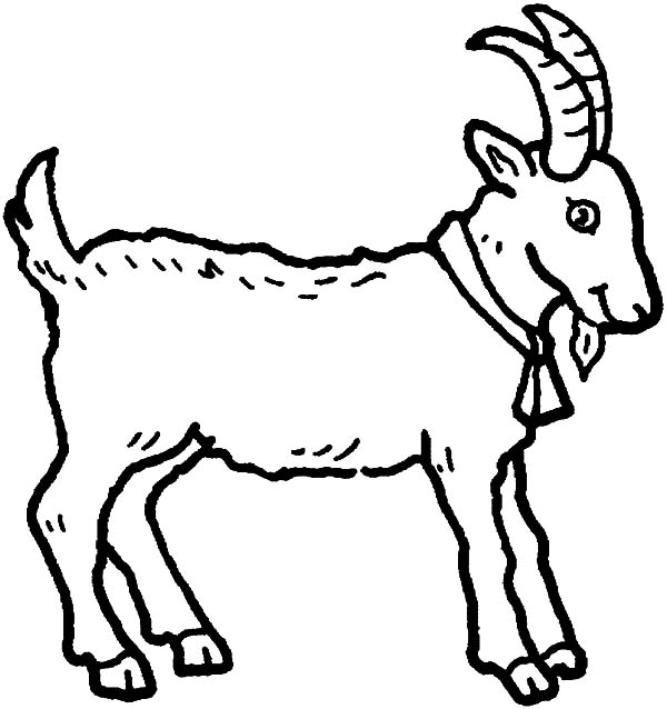 Young Goat Coloring Pages Color Luna 600x638 Young Goat Coloring Pages Color Luna