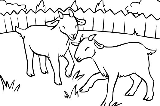 Baby Goat Coloring Pages Printable 532x353 Baby Goat Coloring Pages Printable