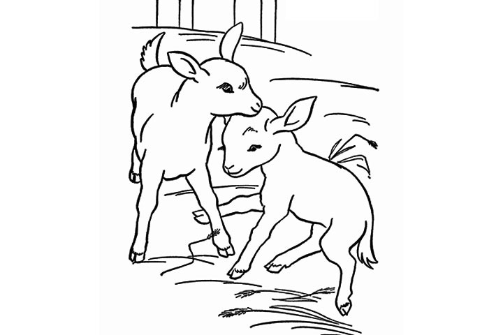 Free Cute Goat Coloring Pages 720x480 Free Cute Goat Coloring Pages
