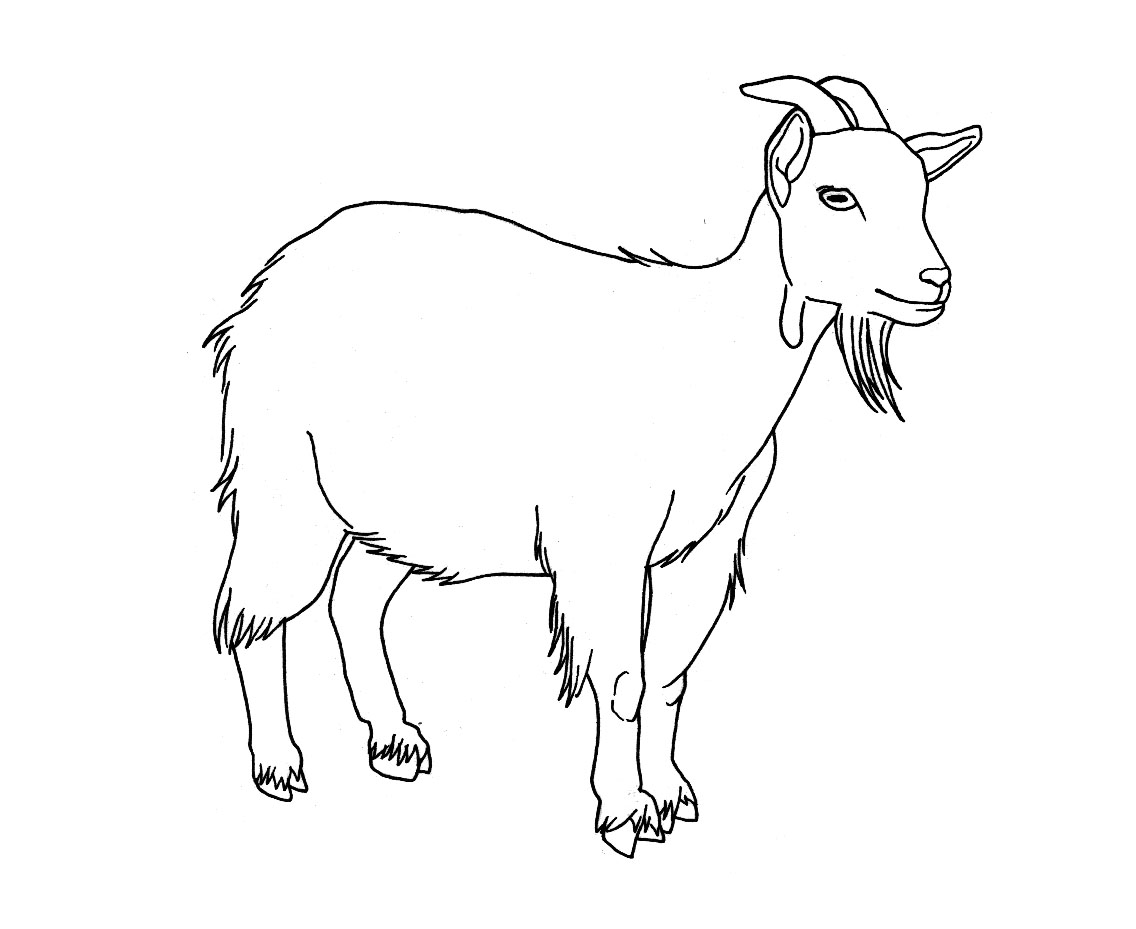 Free Printable Goat Coloring Pages For Kids 1136x929 Free Printable Goat Coloring Pages For Kids