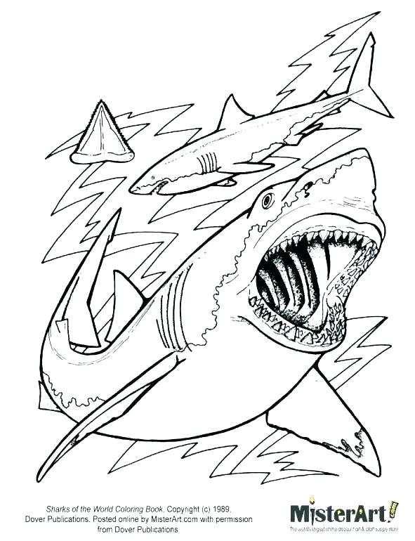 591x770 Marvellous Hammerhead Shark Coloring Pages