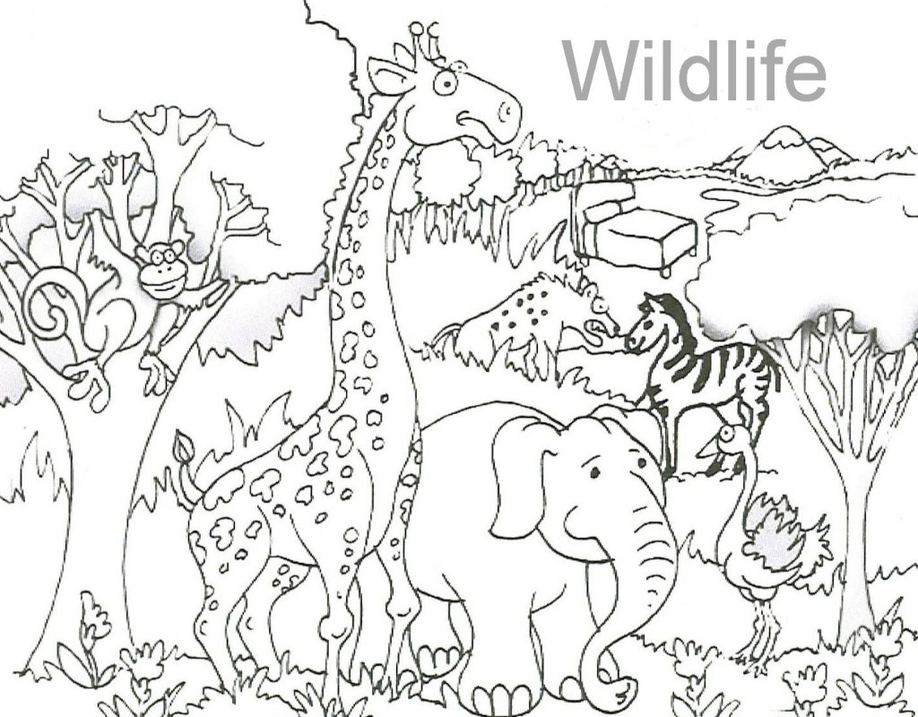 1024x800 Coloring Pages Of Wild Animals