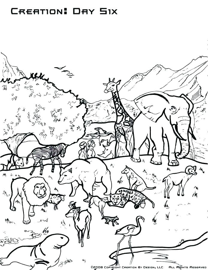 695x900 Creation Coloring Pages Creation Coloring Pages For Kids Download