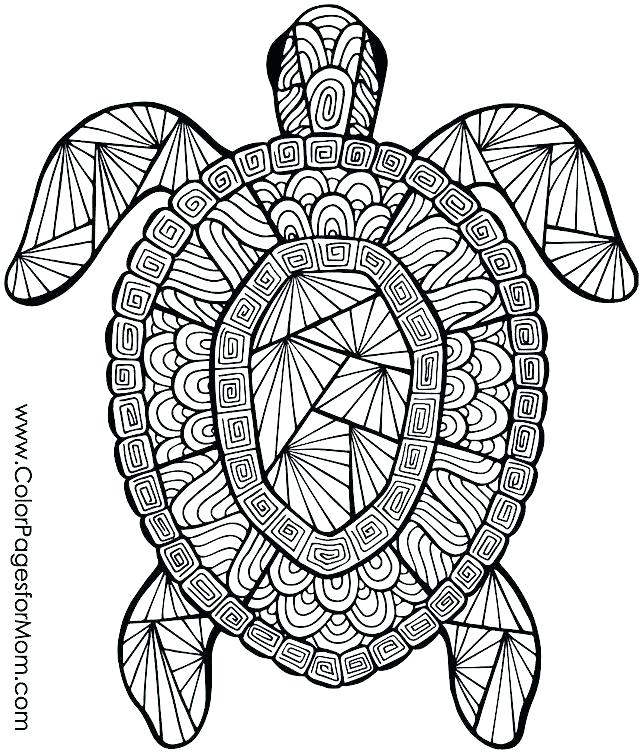 Olympic Coloring Sheets Coloring Sheets Rings Coloring Page 640x755 Olympic Coloring Sheets Coloring Sheets Rings Coloring Page