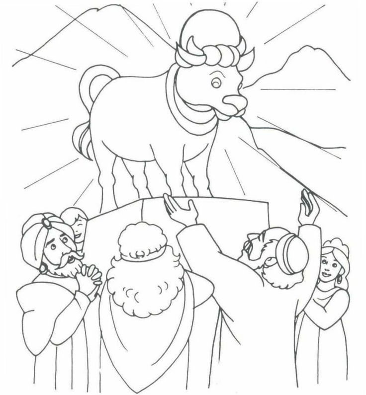 736x795 Golden Calf
