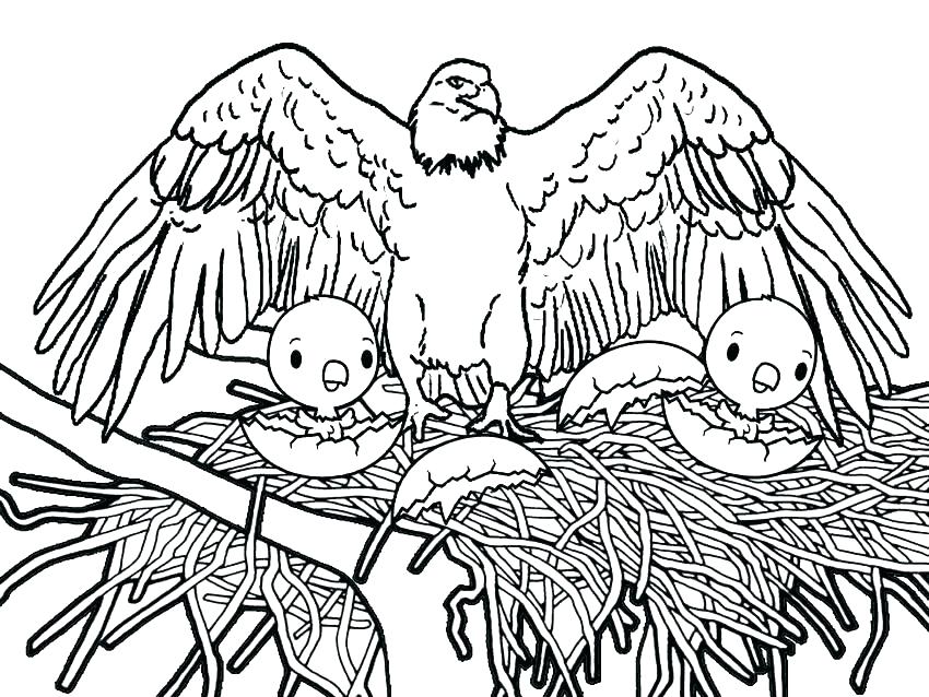 850x638 Eagle Coloring Page Fresh Bald Eagle Coloring Pages Online Eagles