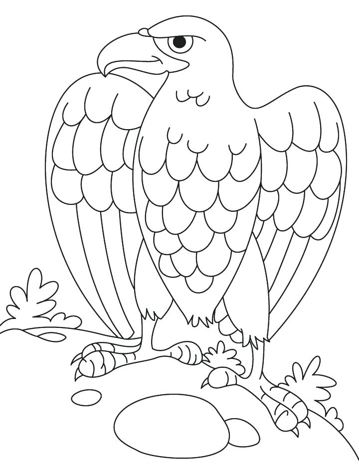 720x955 Eagle Coloring Pages Harpy Eagle Coloring Page Eagle Coloring