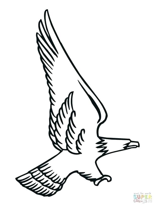 Golden Eagle Coloring Page at GetColorings.com | Free printable