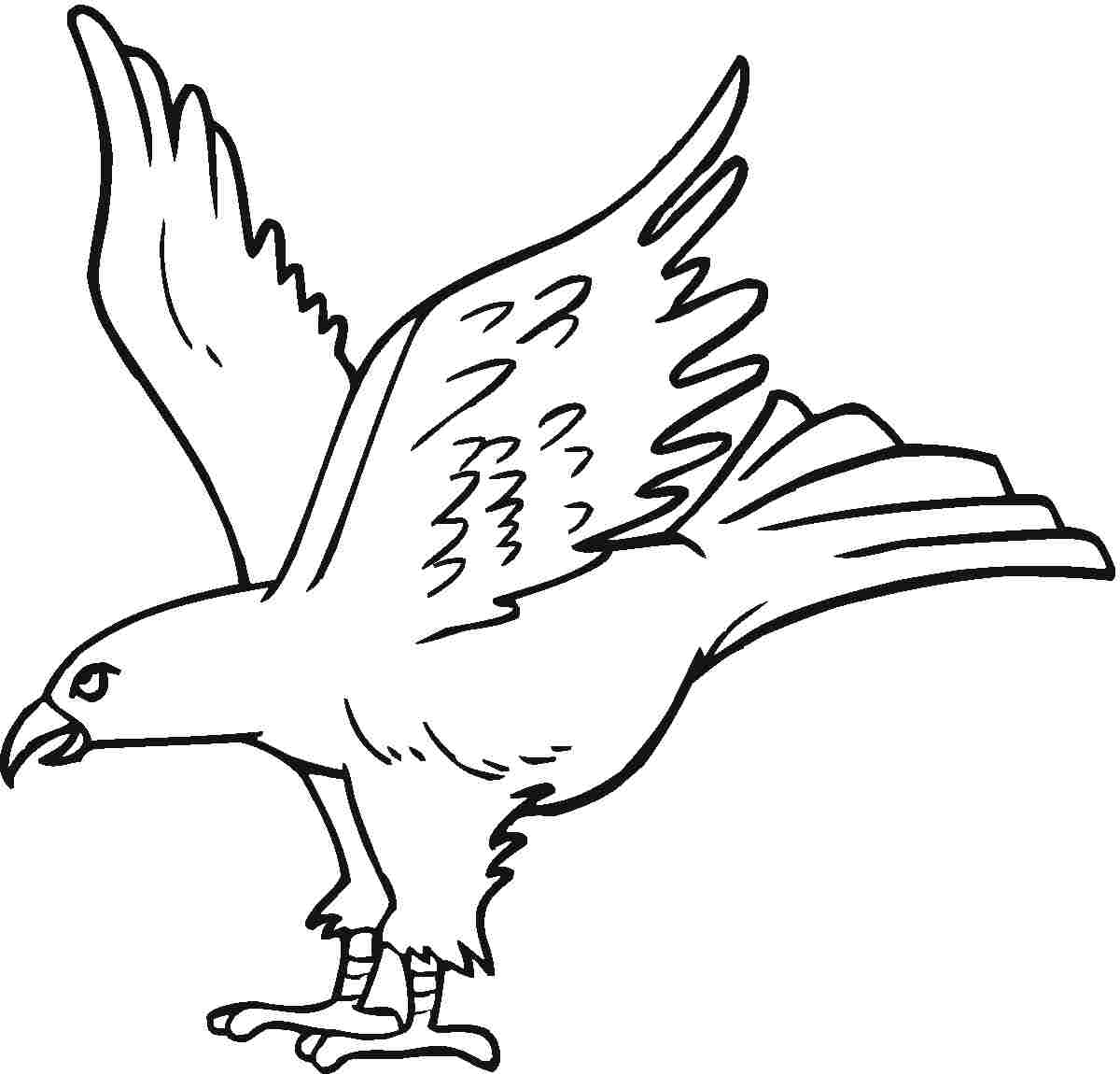 1200x1150 Innovative Eagle Colouring Pictures Free Printable Coloring Pages