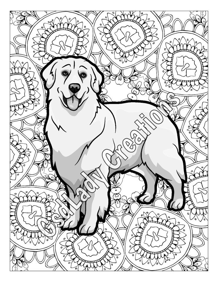 740x958 Dog Art, Greyscale Coloring Page, Golden Retriever, Dog Coloring