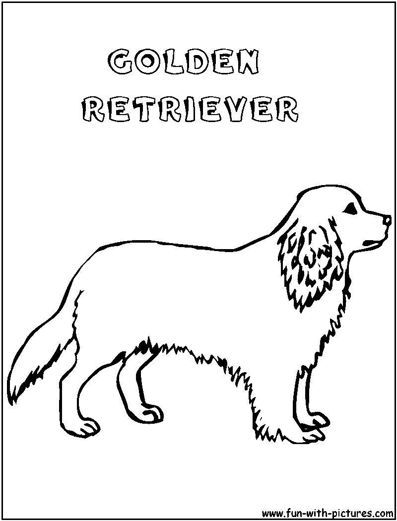 800x1050 Golden Retriever Coloring Pages To Download And Print For Free
